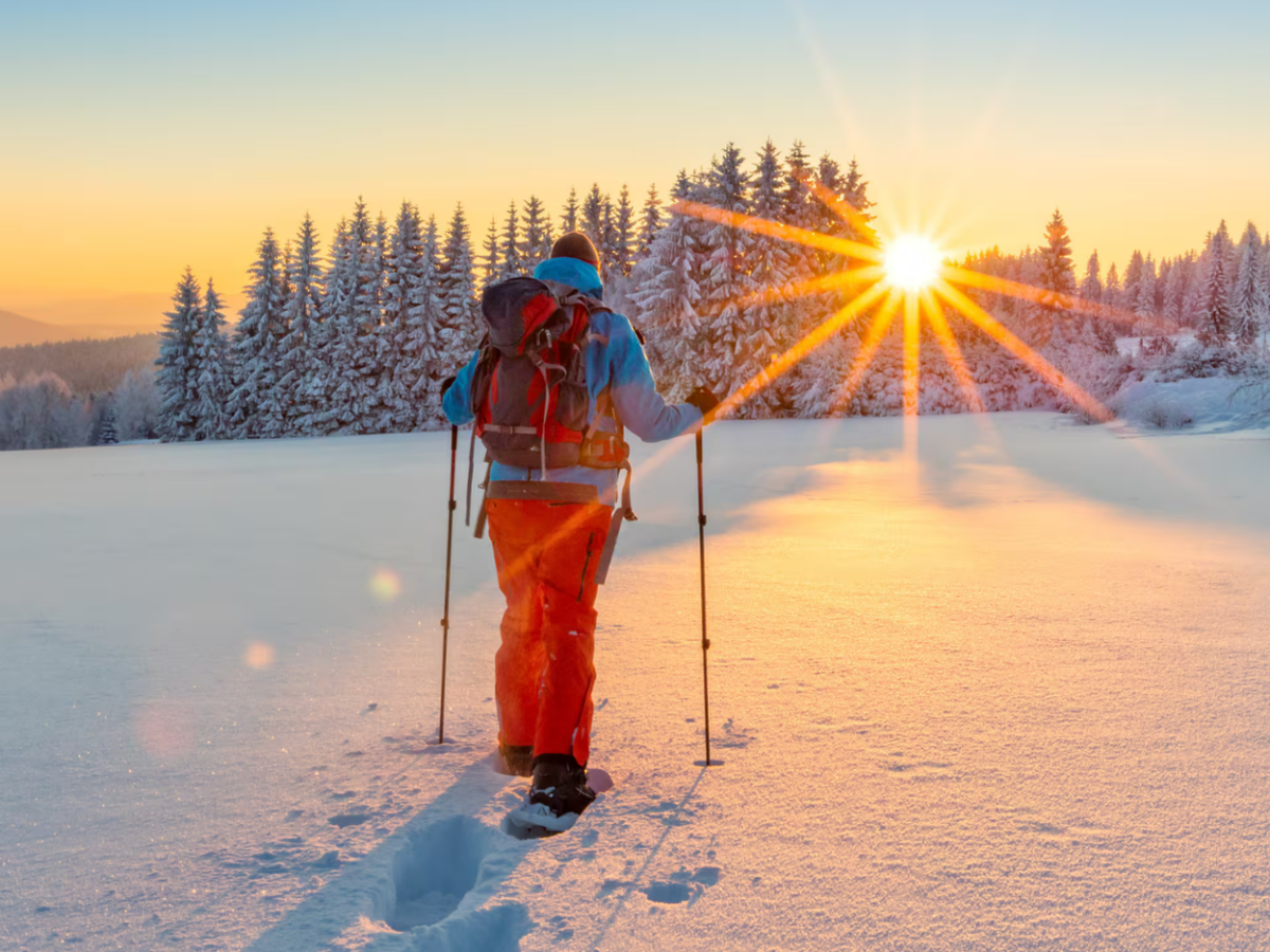 Snowshoe through Vancouver's winter wonderland
