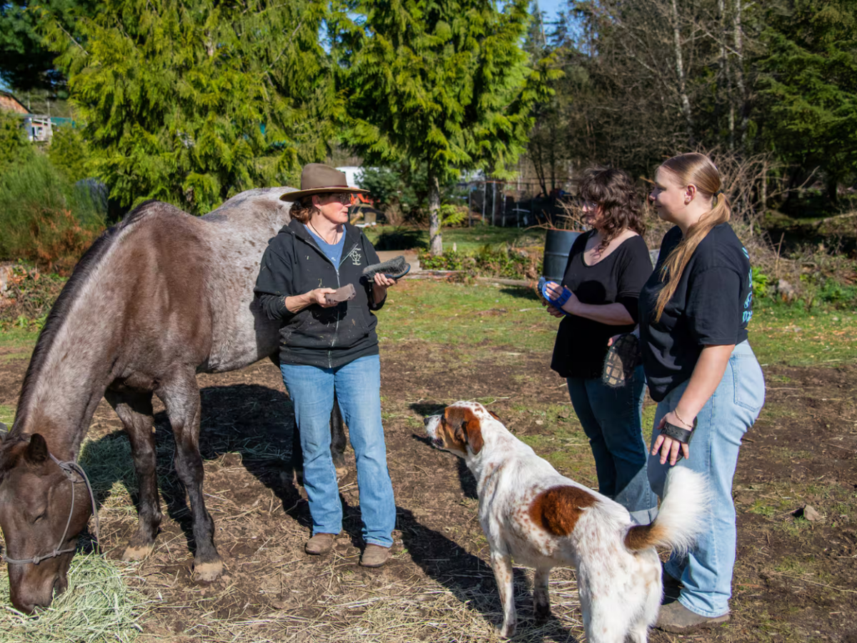 Trail Ride Experience