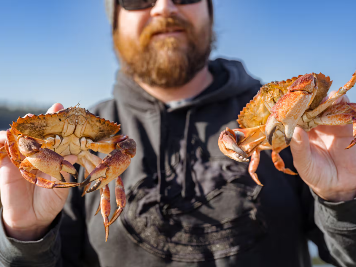 West Coast Crab Fishing