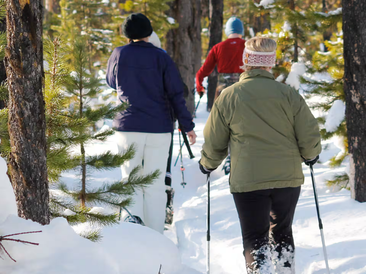 Snowshoe through Vancouver's winter wonderland