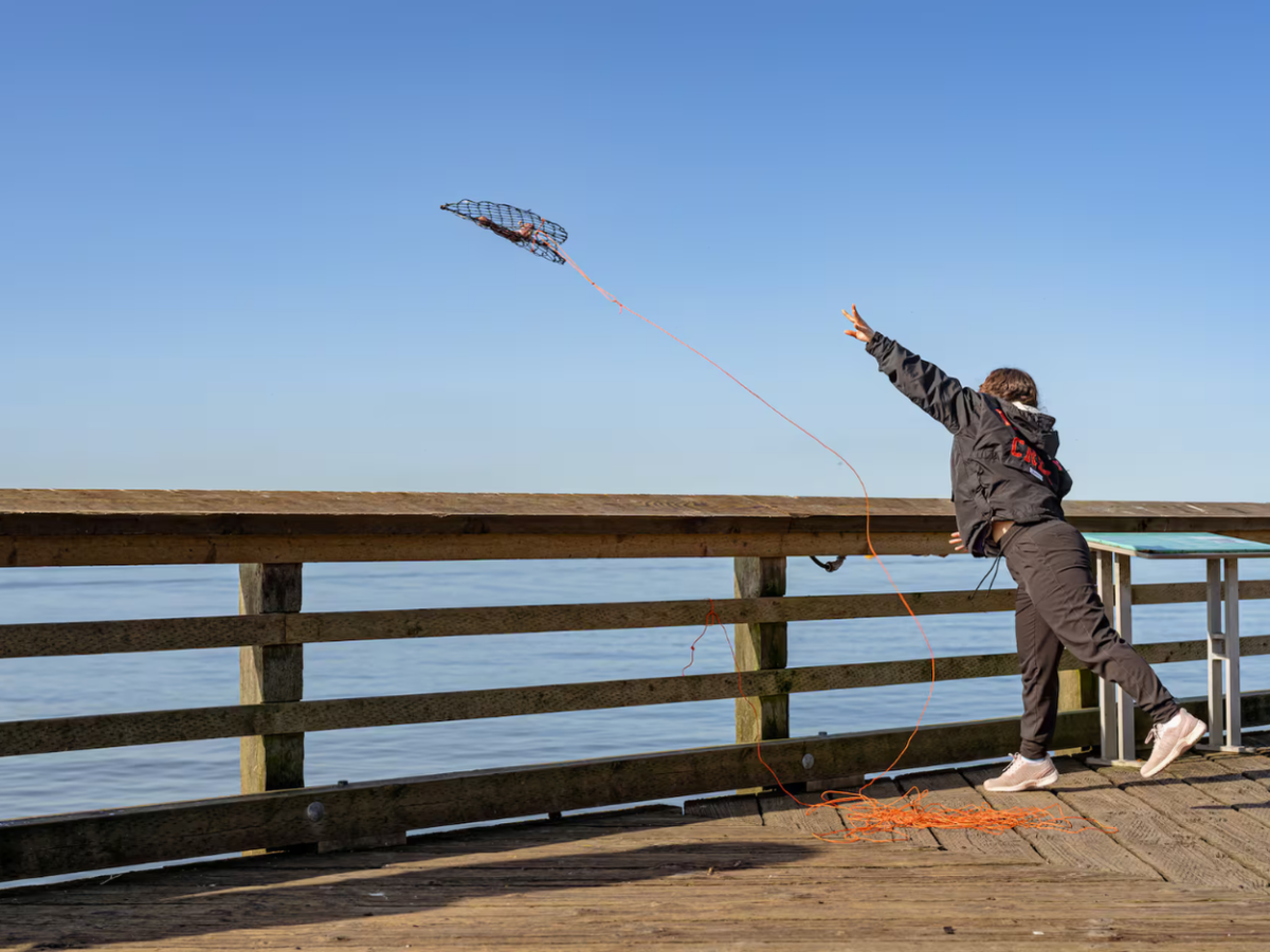 West Coast Crab Fishing