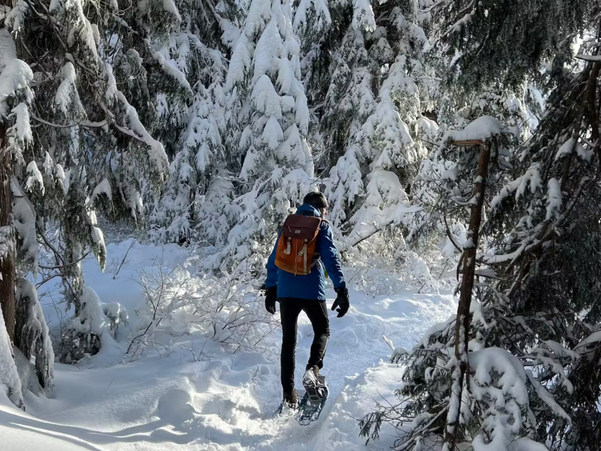 Snowshoe through Vancouver's winter wonderland