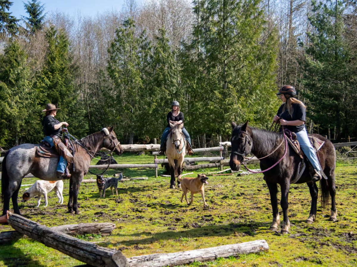 Trail Ride Experience