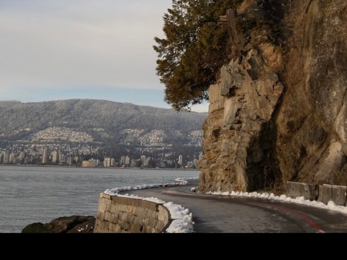 Explore Stanley Park on Electric Scooters