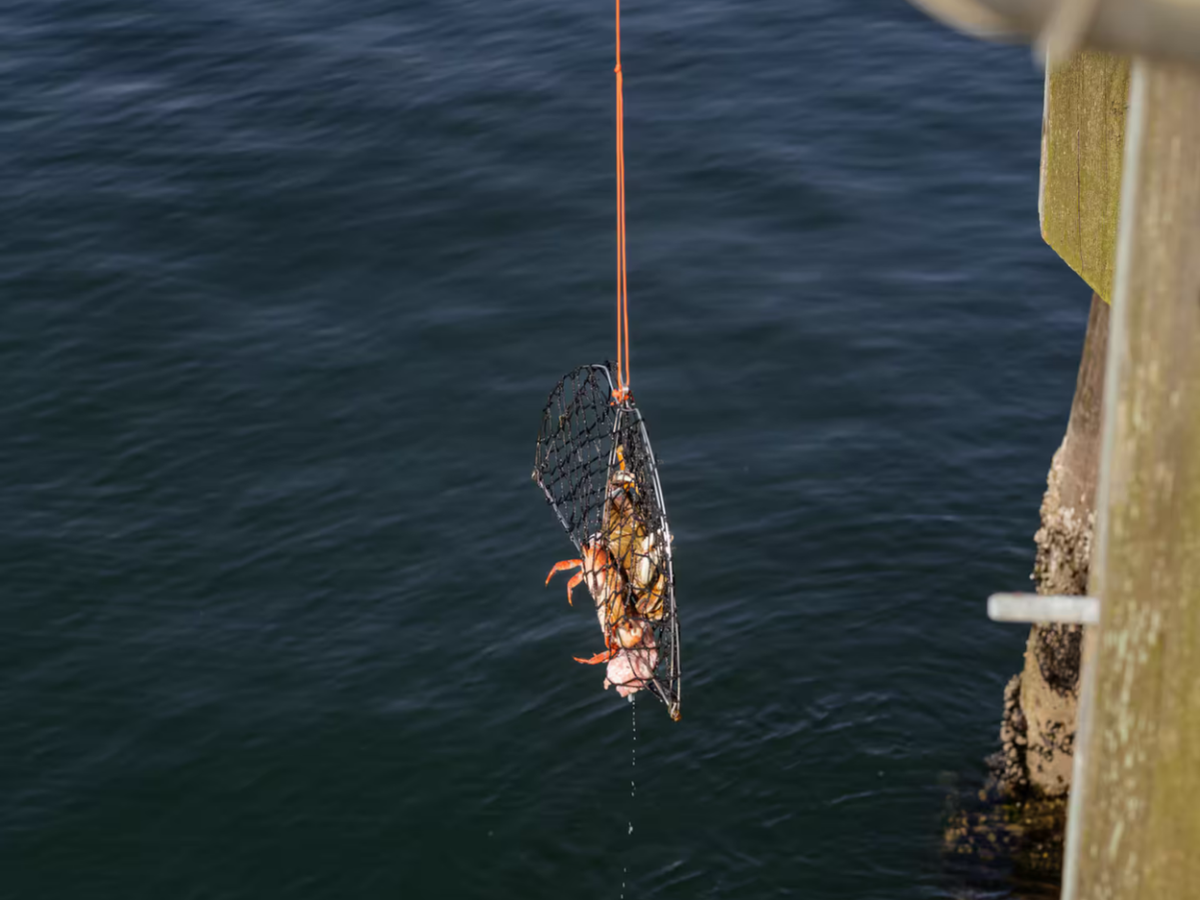 West Coast Crab Fishing