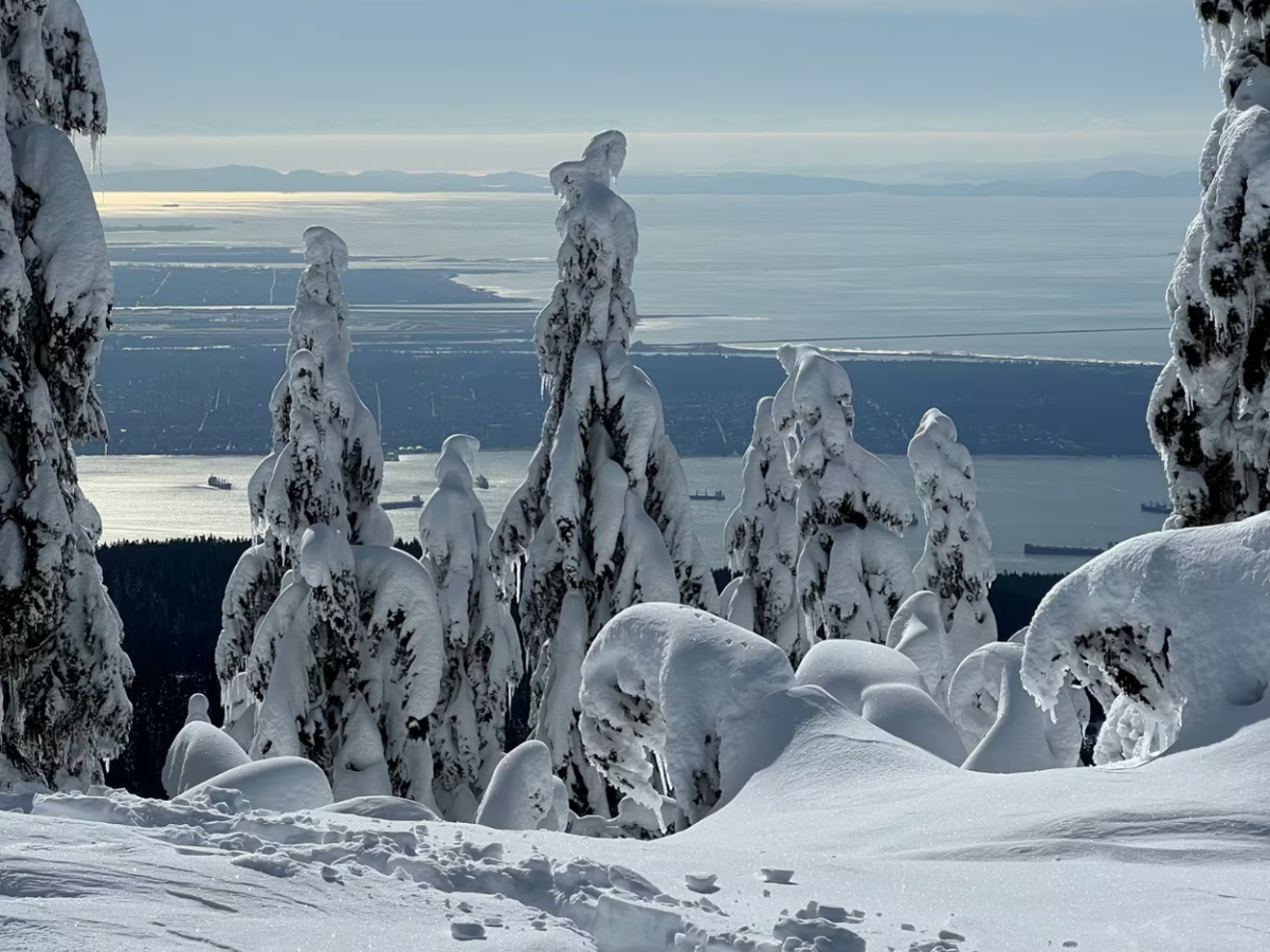 Snowshoe through Vancouver's winter wonderland