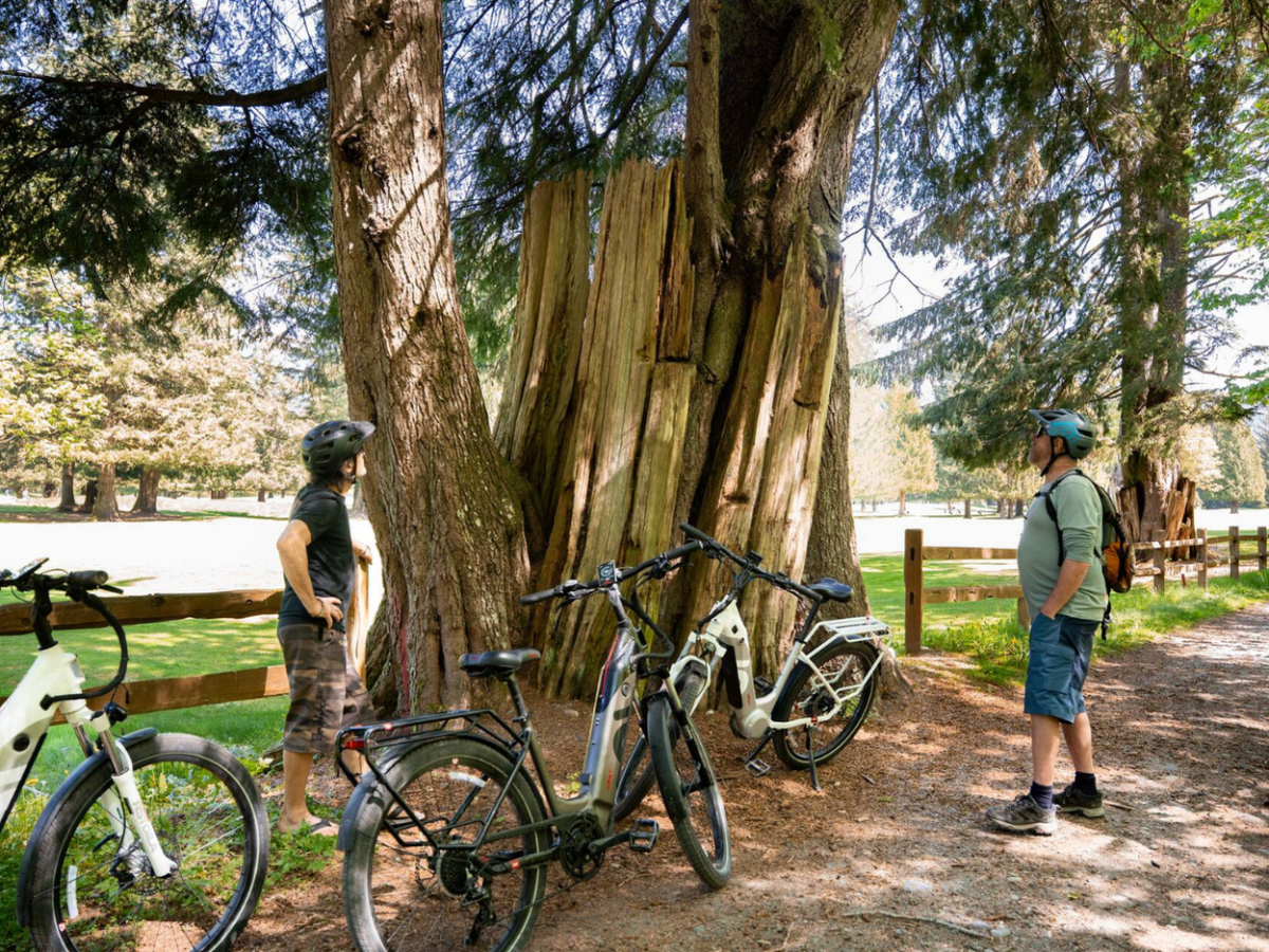 Discover Squamish on an E-bike tour