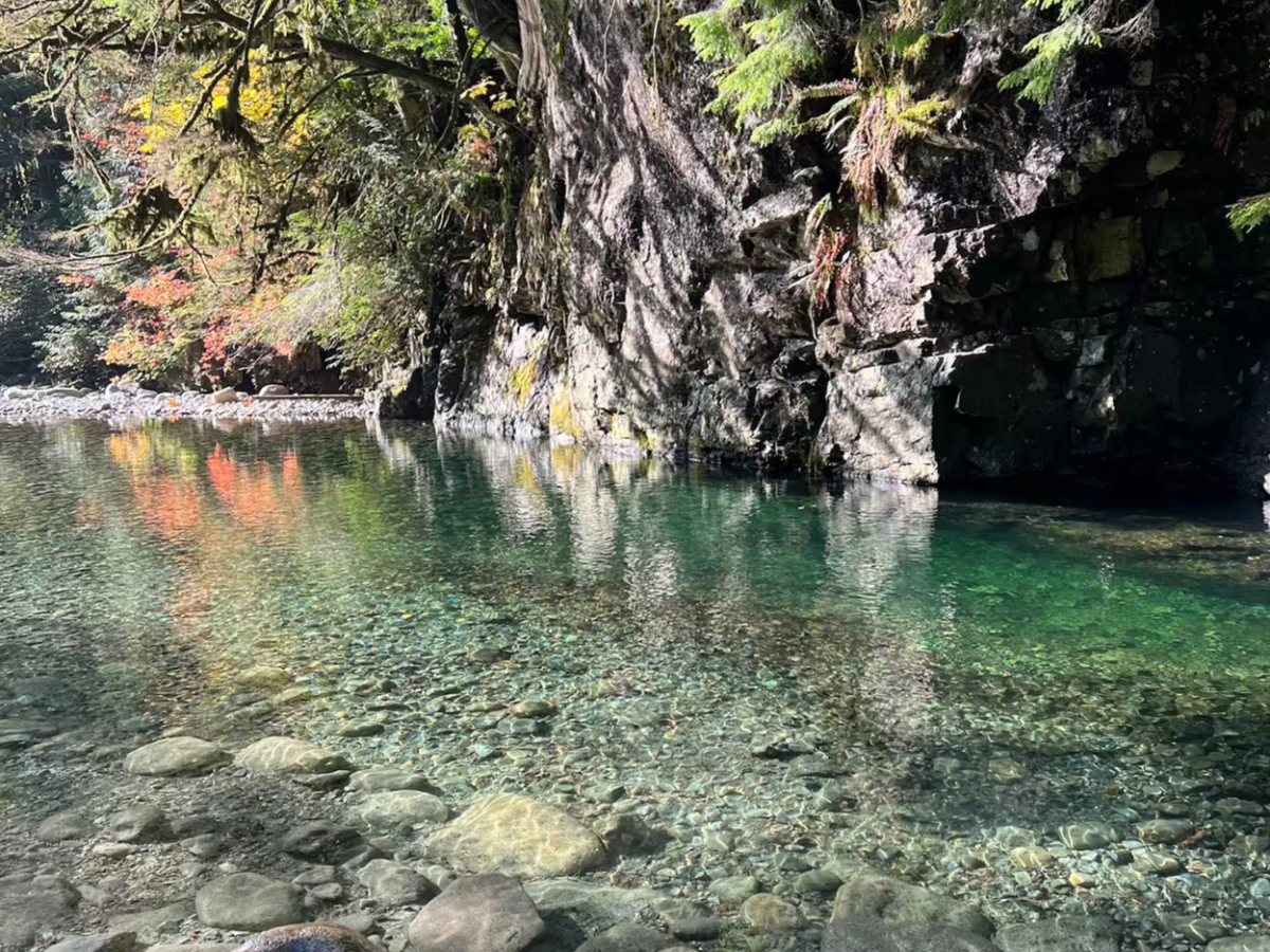 Hike the Vancouver Rainforest With Waterfalls