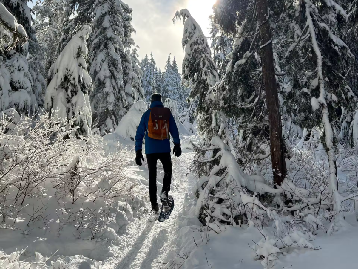 Snowshoe through Vancouver's winter wonderland