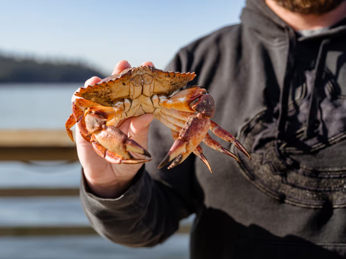 West Coast Crab Fishing