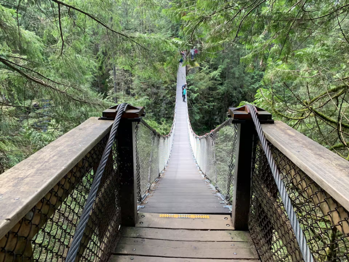 Hike the Vancouver Rainforest With Waterfalls