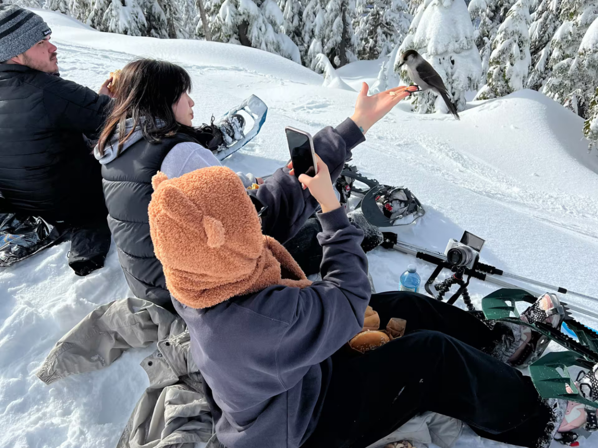 Snowshoe through Vancouver's winter wonderland