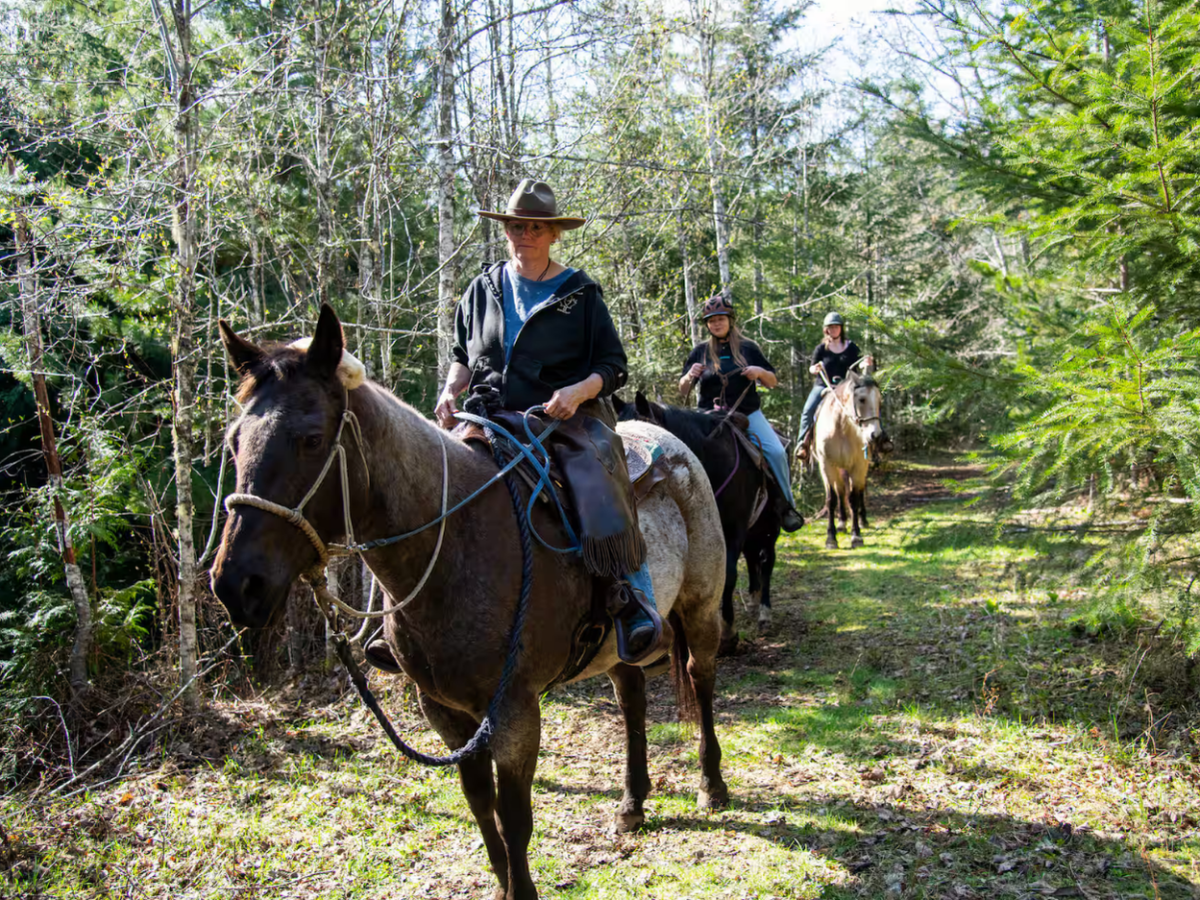 Trail Ride Experience