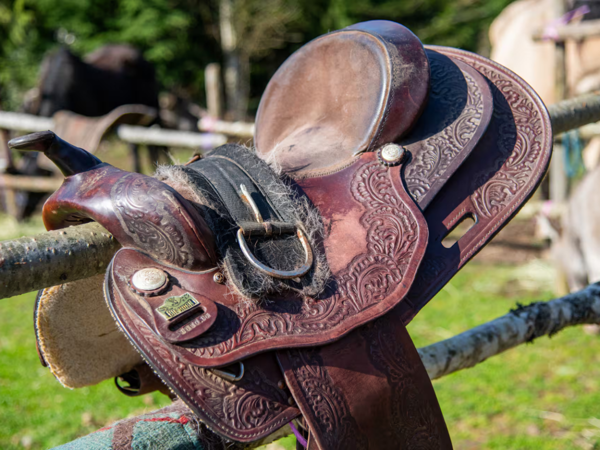 Trail Ride Experience