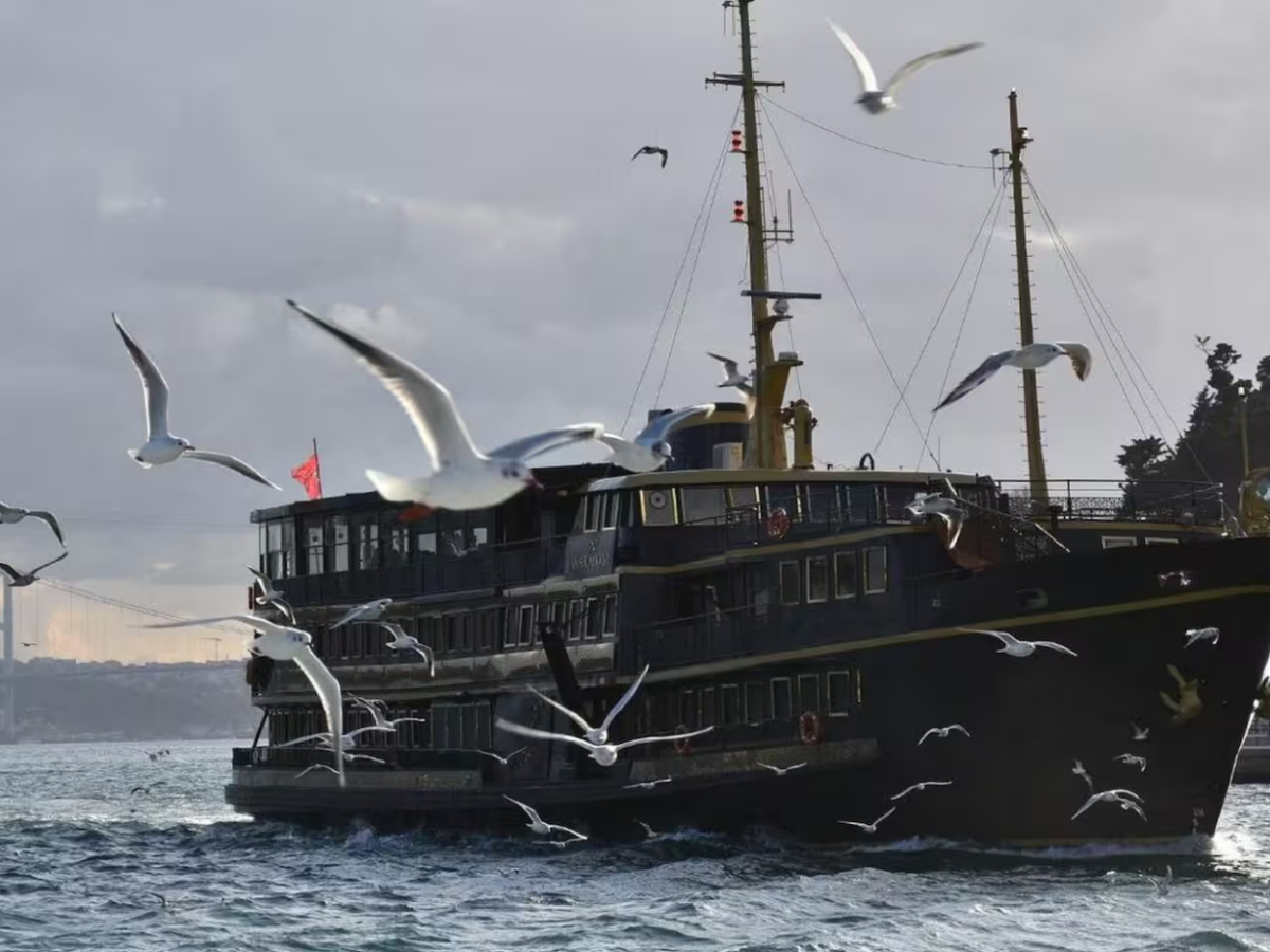 Dine on a Historic Bosphorus Cruise