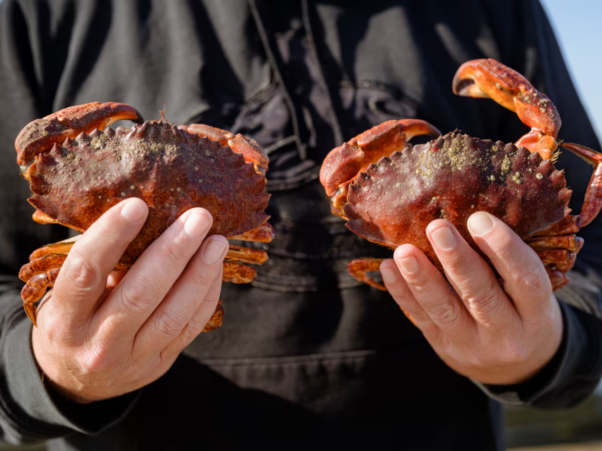West Coast Crab Fishing