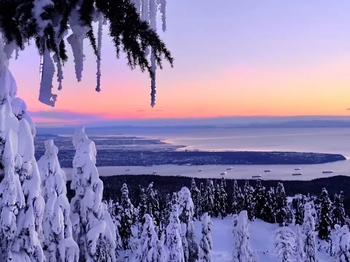 Snowshoe through Vancouver's winter wonderland