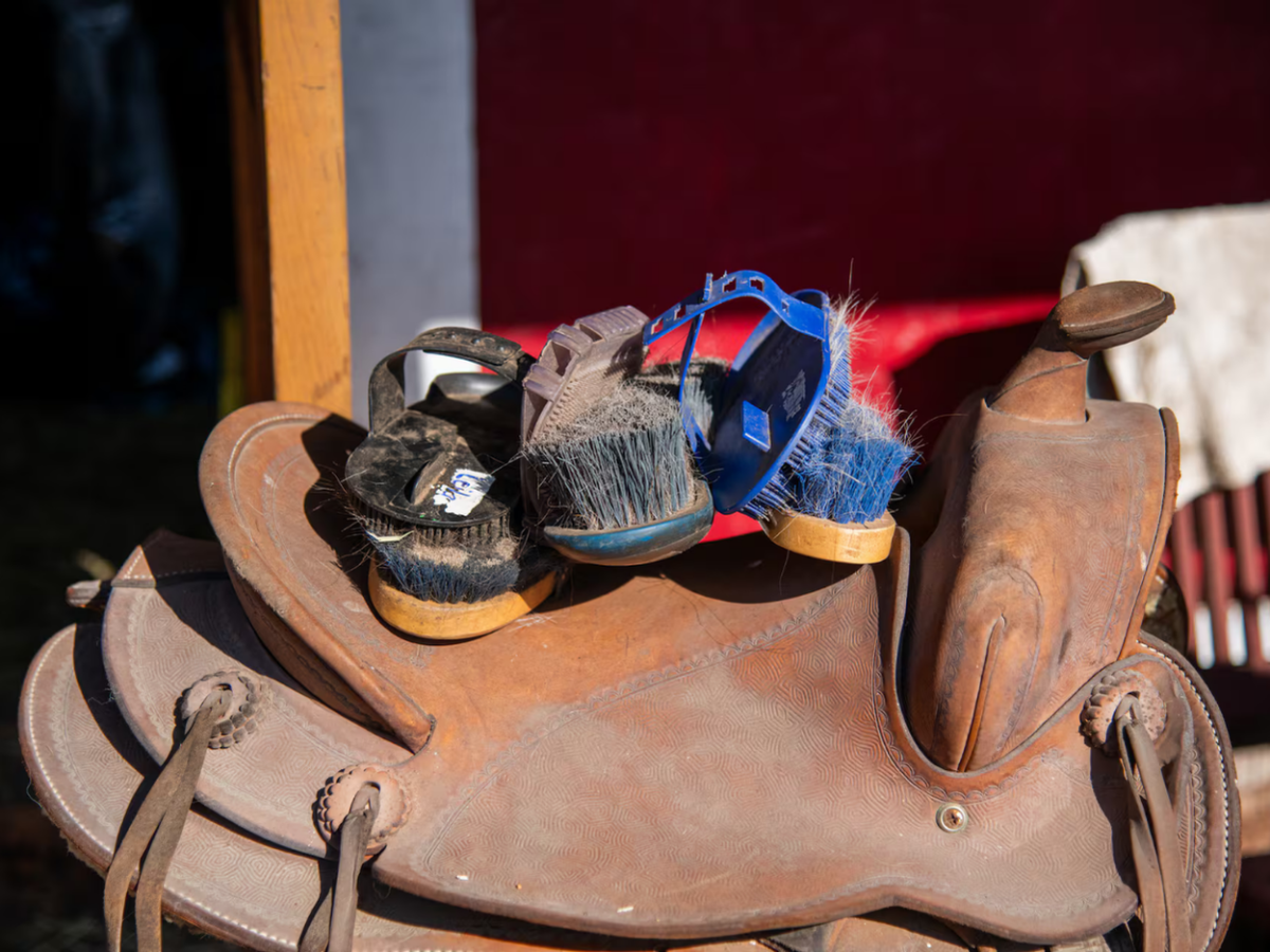 Trail Ride Experience